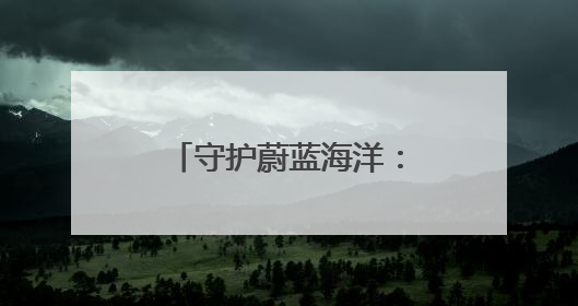 守护蔚蓝海洋：海洋至尊与青年携手用科技与行动之力托起纯净未来