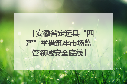 安徽省定远县“四严”举措筑牢市场监管领域安全底线