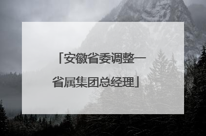 安徽省委调整一省属集团总经理