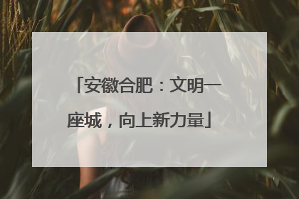 安徽合肥：文明一座城，向上新力量