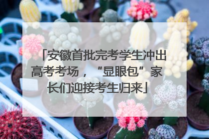 安徽首批完考学生冲出高考考场，“显眼包”家长们迎接考生归来