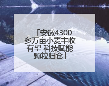 安徽4300多万亩小麦丰收有望 科技赋能颗粒归仓
