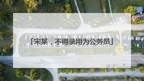 宋某，不得录用为公务员