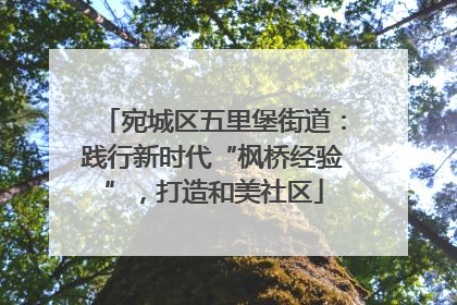 宛城区五里堡街道：践行新时代“枫桥经验”，打造和美社区