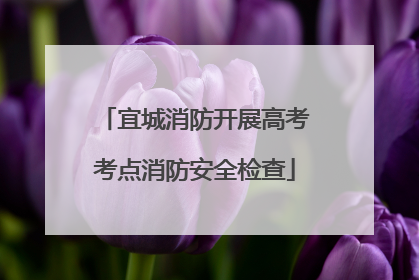 宜城消防开展高考考点消防安全检查
