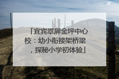 宜宾翠屏金坪中心校：幼小衔接架桥梁，探秘小学初体验
