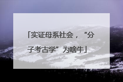 实证母系社会，“分子考古学”为啥牛