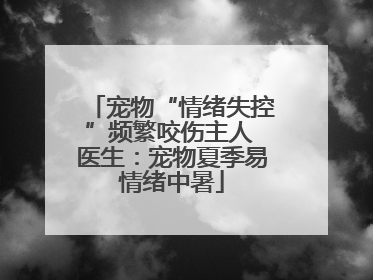 宠物“情绪失控”频繁咬伤主人 医生：宠物夏季易情绪中暑