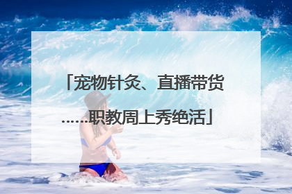宠物针灸、直播带货……职教周上秀绝活