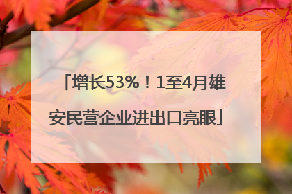 增长53%！1至4月雄安民营企业进出口亮眼