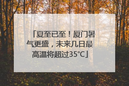 夏至已至！厦门暑气更盛，未来几日最高温将超过35℃