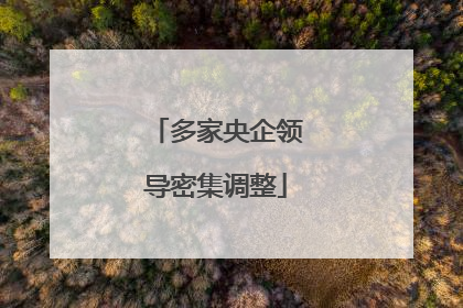 多家央企领导密集调整
