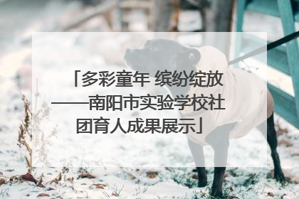 多彩童年 缤纷绽放——南阳市实验学校社团育人成果展示