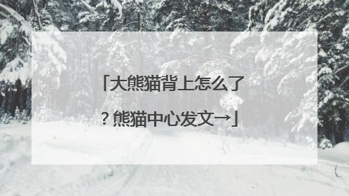 大熊猫背上怎么了？熊猫中心发文→