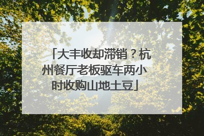 大丰收却滞销？杭州餐厅老板驱车两小时收购山地土豆