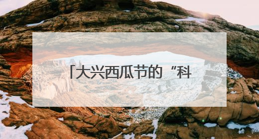 大兴西瓜节的“科技烟火气”：机器狗搬瓜、AI摊煎饼