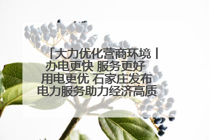 大力优化营商环境丨办电更快 服务更好 用电更优 石家庄发布电力服务助力经济高质量发展八项措施