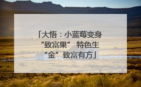 大悟：小蓝莓变身“致富果” 特色生“金”致富有方