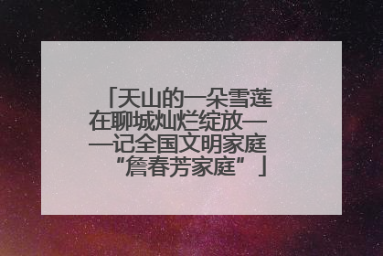 天山的一朵雪莲在聊城灿烂绽放——记全国文明家庭“詹春芳家庭”