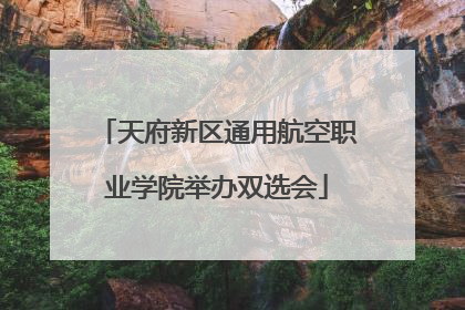 天府新区通用航空职业学院举办双选会