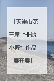 天津市第三届“非遗小匠”作品展开展