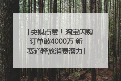 央媒点赞！淘宝闪购订单破4000万 新赛道释放消费潜力