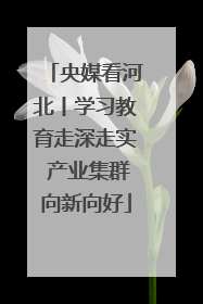 央媒看河北丨学习教育走深走实 产业集群向新向好