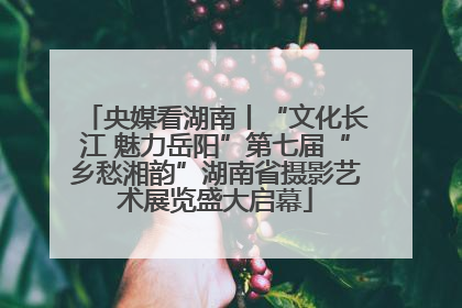 央媒看湖南丨“文化长江 魅力岳阳”第七届“乡愁湘韵”湖南省摄影艺术展览盛大启幕