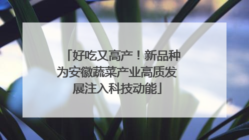 好吃又高产！新品种为安徽蔬菜产业高质发展注入科技动能