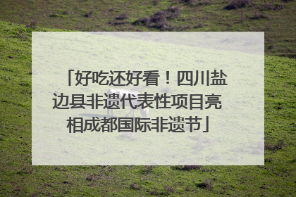 好吃还好看！四川盐边县非遗代表性项目亮相成都国际非遗节