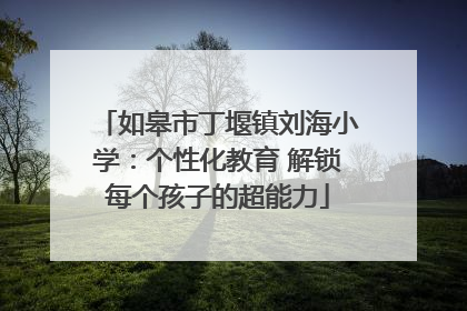 如皋市丁堰镇刘海小学：个性化教育 解锁每个孩子的超能力