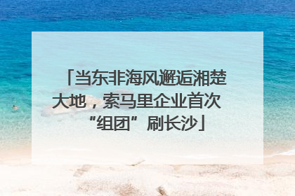 当东非海风邂逅湘楚大地，索马里企业首次“组团”刷长沙