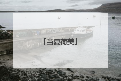 当夏荷美
