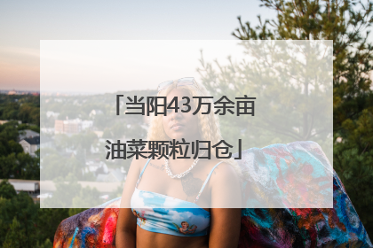 当阳43万余亩油菜颗粒归仓