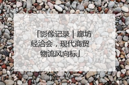 影像记录｜廊坊经洽会，现代商贸物流风向标