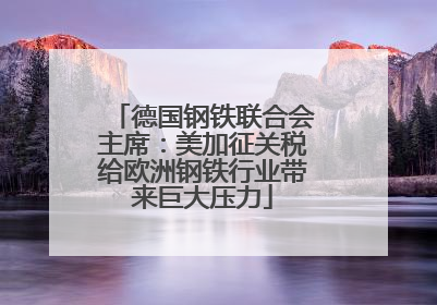 德国钢铁联合会主席：美加征关税给欧洲钢铁行业带来巨大压力