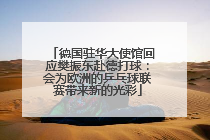 德国驻华大使馆回应樊振东赴德打球：会为欧洲的乒乓球联赛带来新的光彩