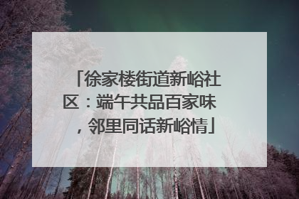徐家楼街道新峪社区：端午共品百家味，邻里同话新峪情