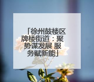 徐州鼓楼区牌楼街道：聚势谋发展 服务赋新能