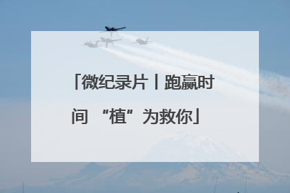 微纪录片丨跑赢时间 “植”为救你