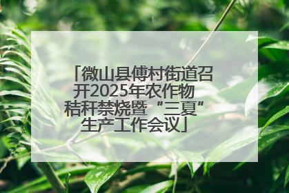 微山县傅村街道召开2025年农作物秸秆禁烧暨“三夏”生产工作会议