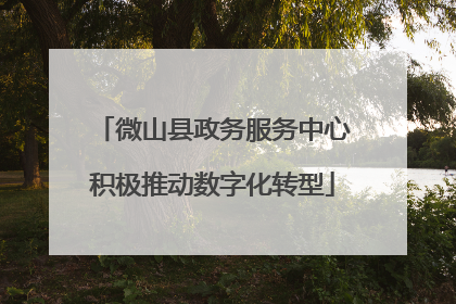 微山县政务服务中心积极推动数字化转型