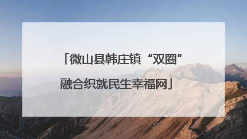 微山县韩庄镇“双圈”融合织就民生幸福网