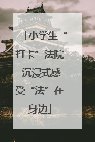 小学生“打卡”法院 沉浸式感受“法”在身边