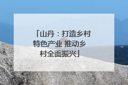 山丹：打造乡村特色产业 推动乡村全面振兴