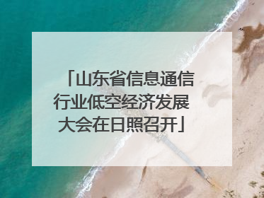 山东省信息通信行业低空经济发展大会在日照召开