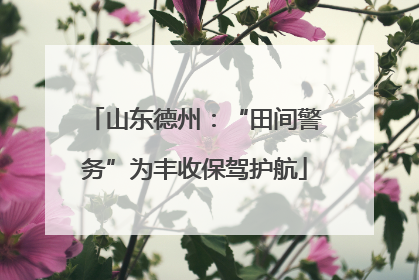 山东德州：“田间警务”为丰收保驾护航