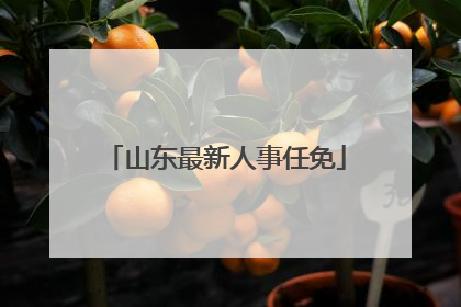 山东最新人事任免