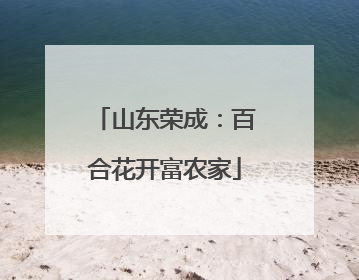 山东荣成：百合花开富农家