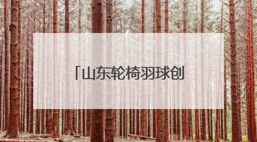 山东轮椅羽球创佳绩！全国残羽赛斩获3银1铜